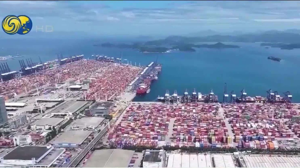 中国船东协会：美应停止基于政治偏见的调查