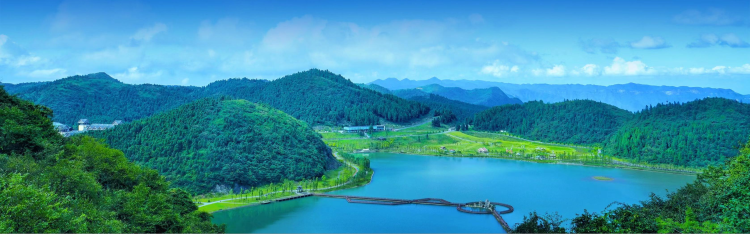 重庆丰都南天湖 图/南天湖国家级旅游度假区官网