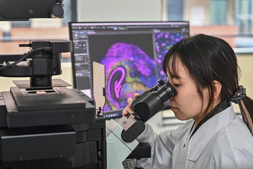 西部(重庆)科学城金凤实验室,科研人员正在激光共聚焦显微成像室做实验。记者 龙帆 摄