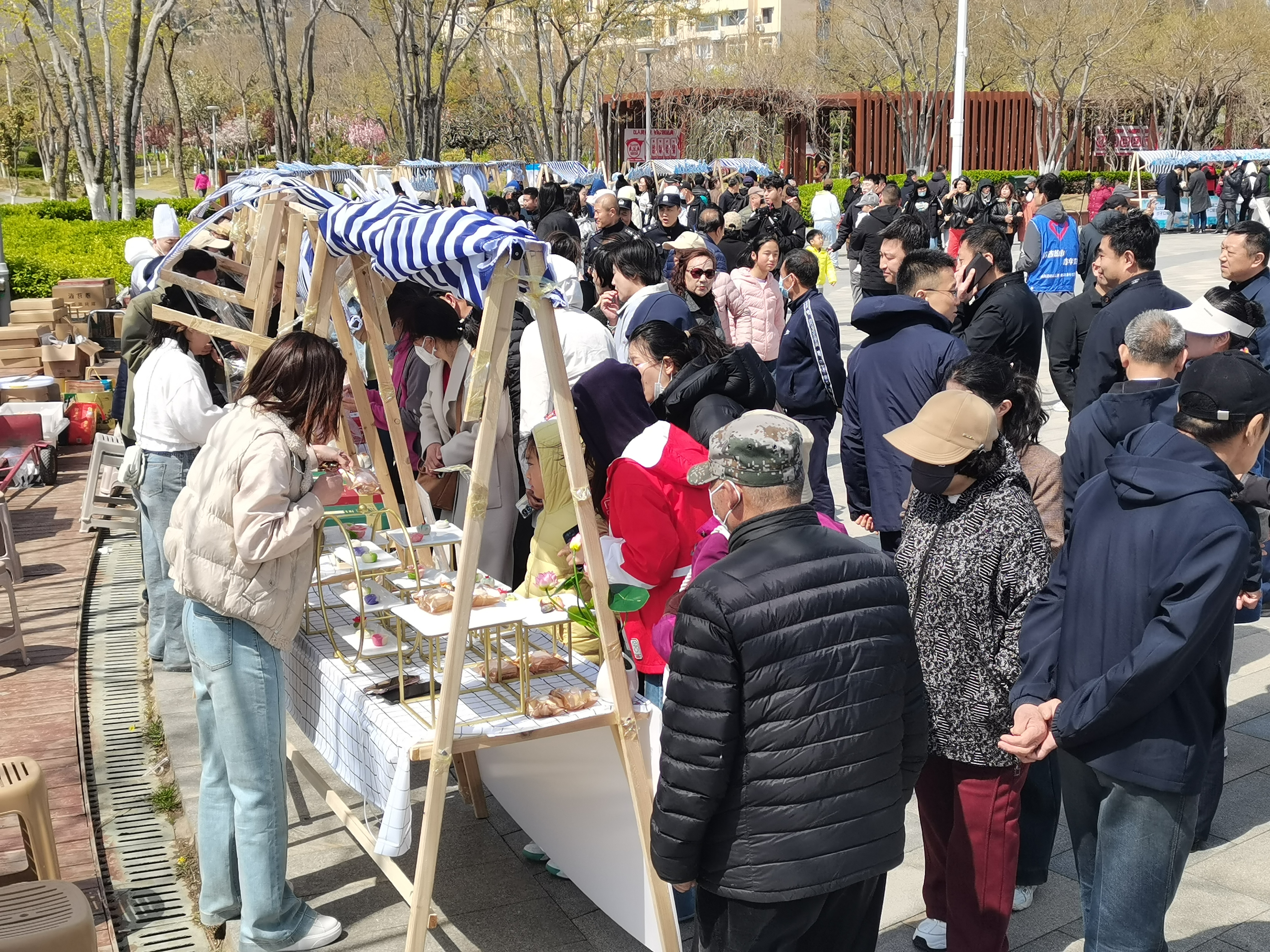 鲅鱼腾浪 山海共舞“乡村好时节&middot;游购乡村”主题年活动——青岛2025第二十一届沙子口鲅鱼节开幕