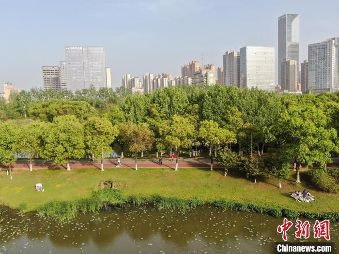 4月13日，江西南昌高新区艾溪湖湿地公园，市民在公园草坪上露营。当日南昌天气晴好，艾溪湖湿地公园绿意盎然，不少市民来到公园游玩，乐享周末悠闲时光。(无人机照片)中新社记者 刘力鑫 摄