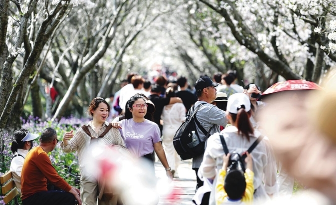 南昌乡村旅游从“打卡观光”向“深度体验”升级 旅游人数、收入创新高