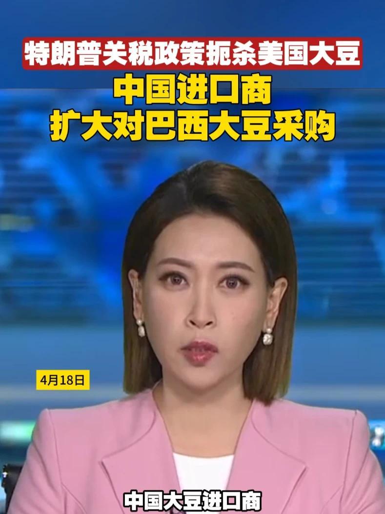 特朗普关税政策扼杀美国大豆，中国进口商扩大对巴西大豆采购#美国 #关税 #巴西