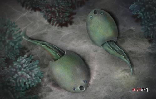 隆平德安魚生態復原圖(史愛娟繪)
