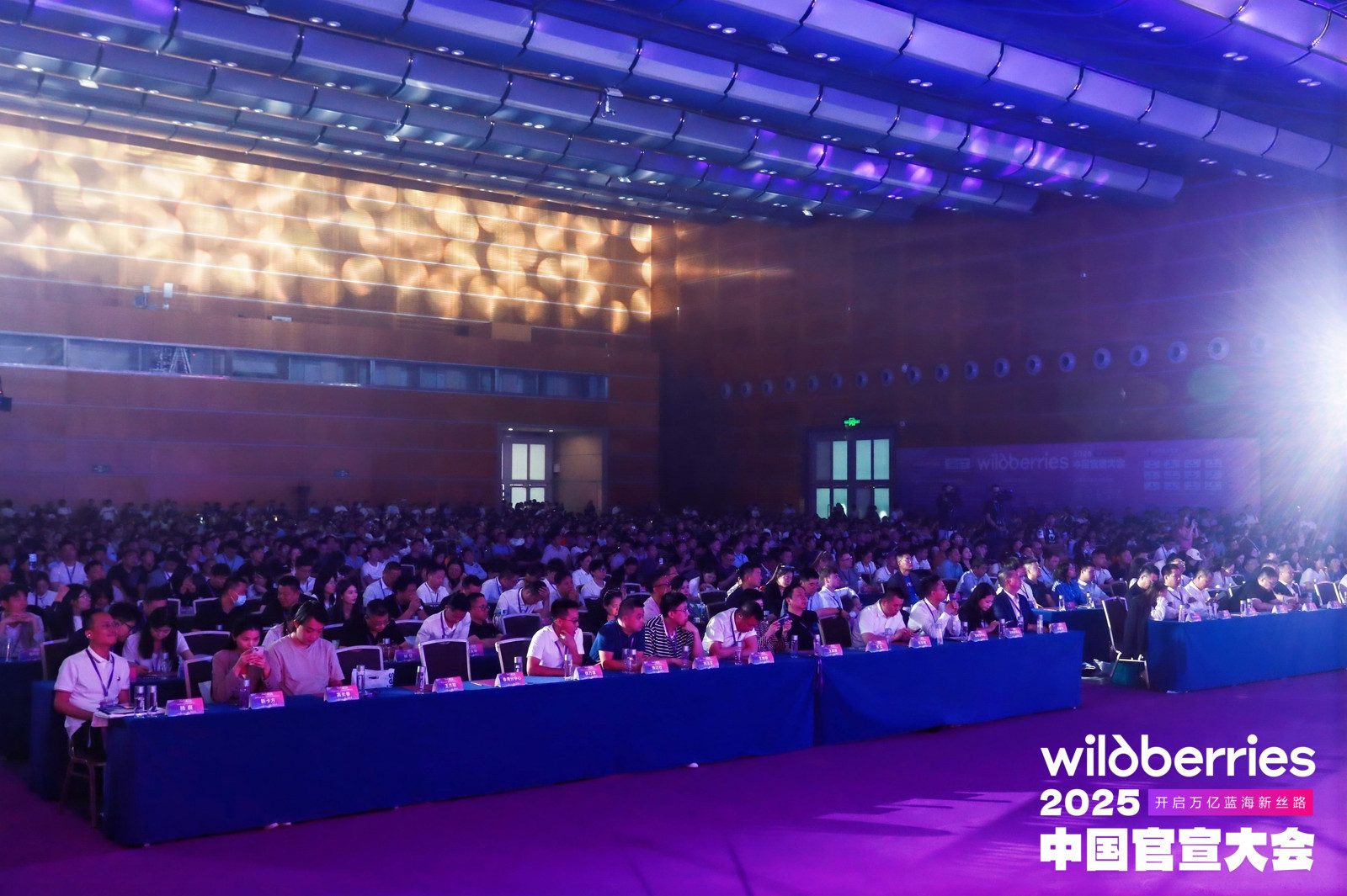 野莓Wildberries2025官宣大会圆满落幕 “星辰计划”正式启动!