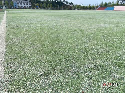 该校足球场的人工草坪上，石英砂及橡胶颗粒裸露严重