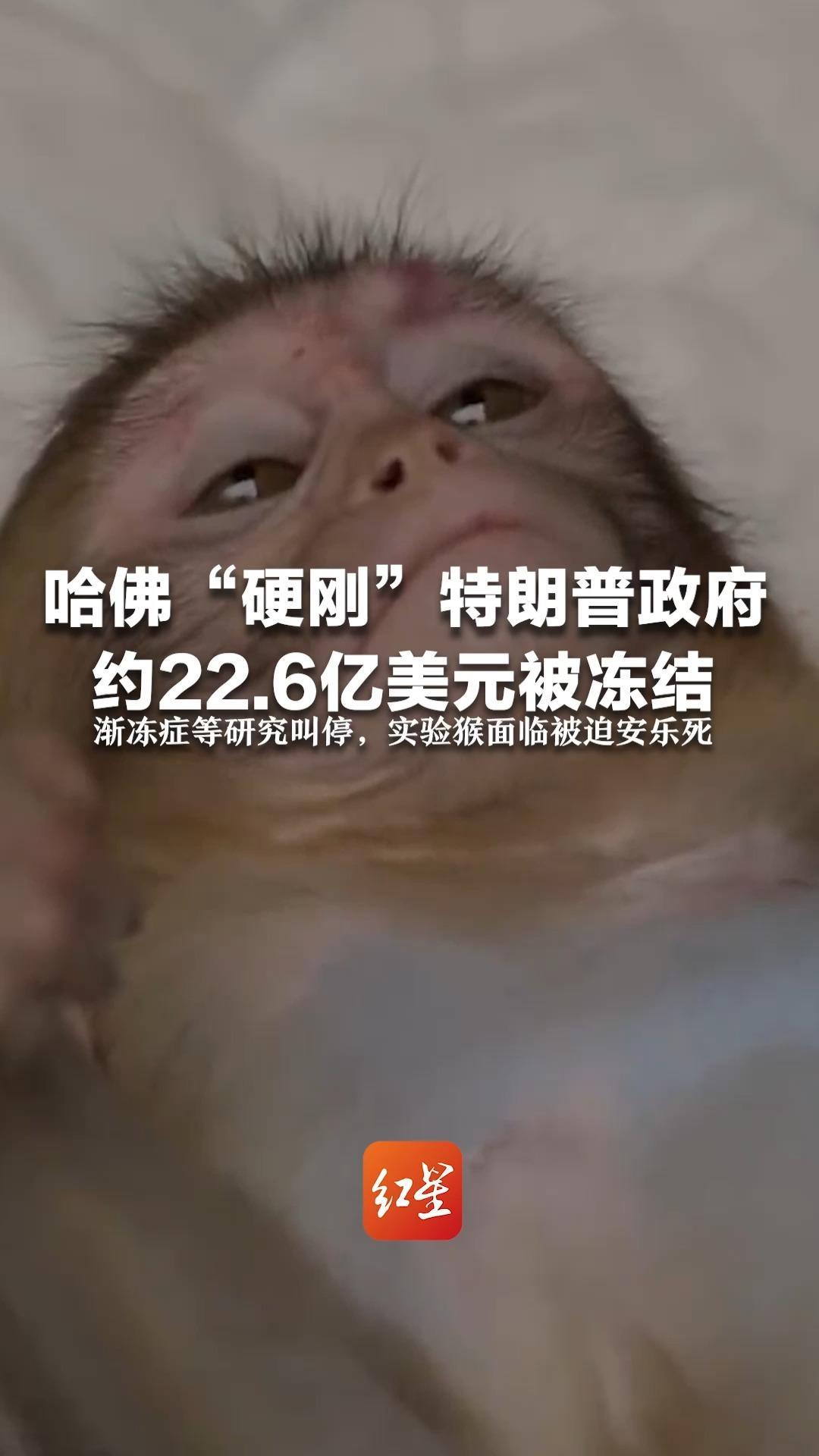 哈佛大学“硬刚”特朗普 约22.6亿美元被冻结  渐冻症等研究叫停，实验猴面临被迫安乐死