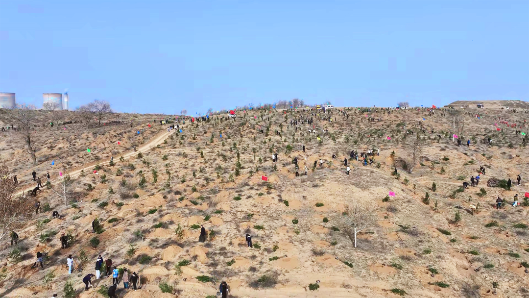 榆林市植树现场