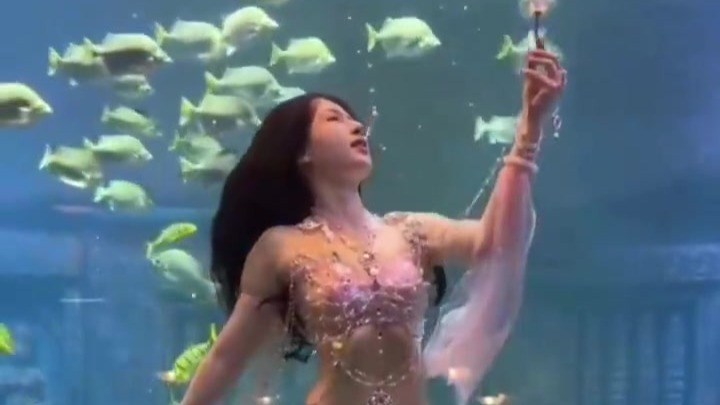 男孩春游和同学看“美人鱼妈妈”表演，满脸骄傲