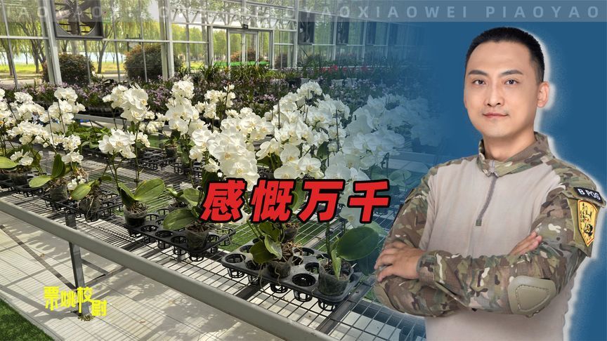 去了一趟临沂和枣庄，感慨万千