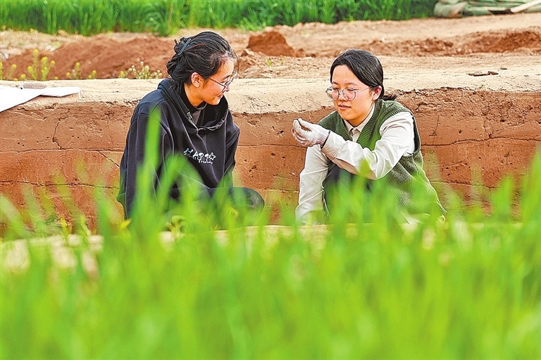 4月2日，裴李岗遗址，考古人员在发掘现场。
