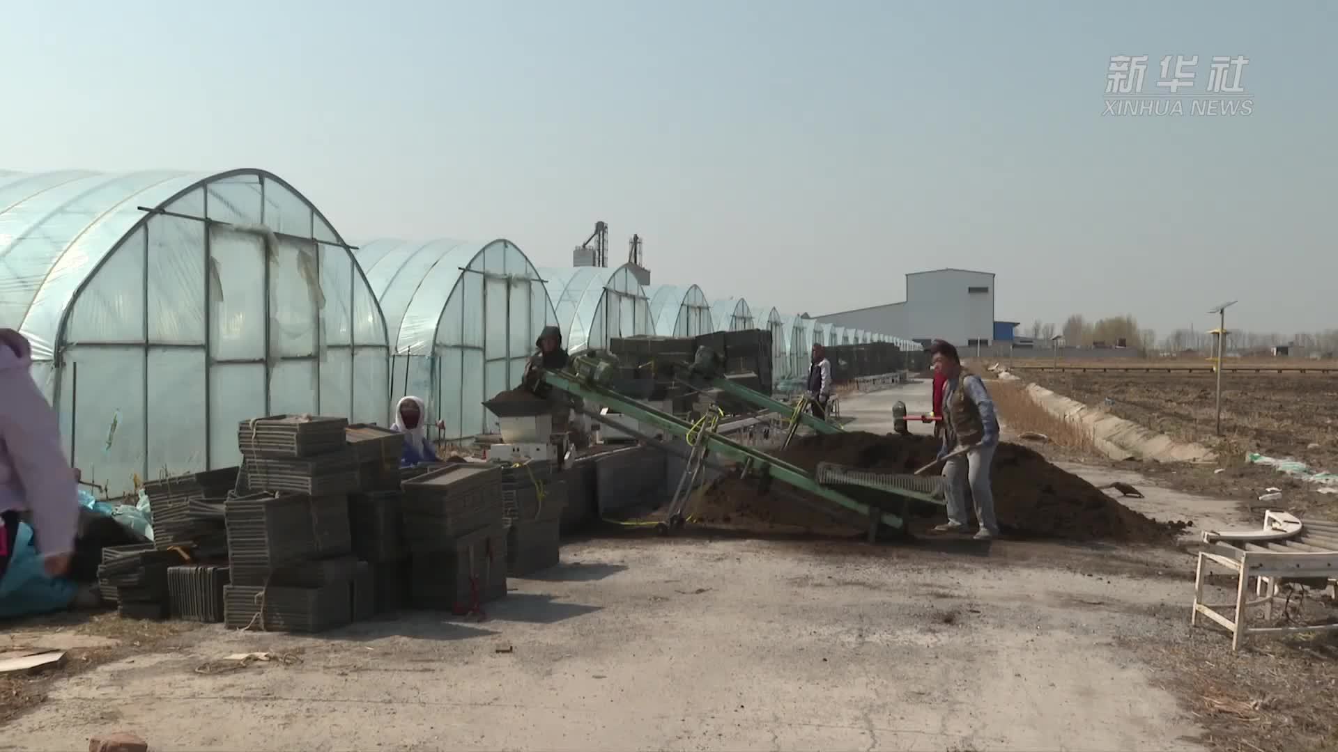 辽宁盘锦：科技育秧抢抓水稻播种“黄金季”