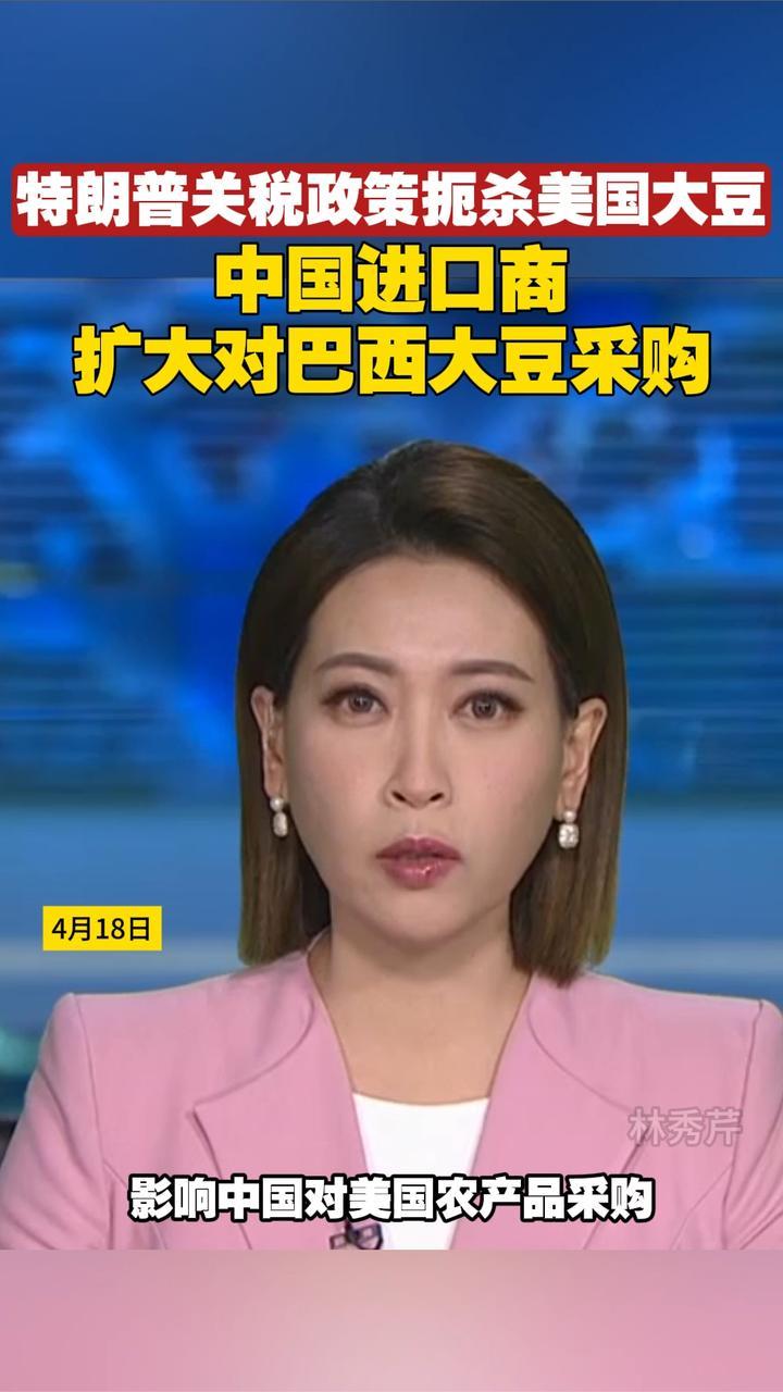 特朗普关税政策扼杀美国大豆，中国进口商扩大对巴西大豆采购