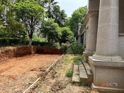 该小区31栋后院植被已被破坏