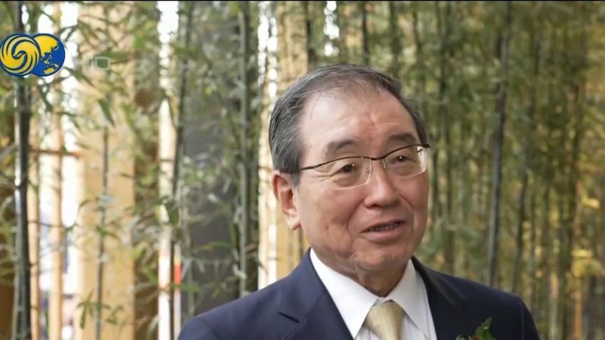 中国馆在世博会惊艳亮相 日官员：了不起的展馆 想带家人再来一次