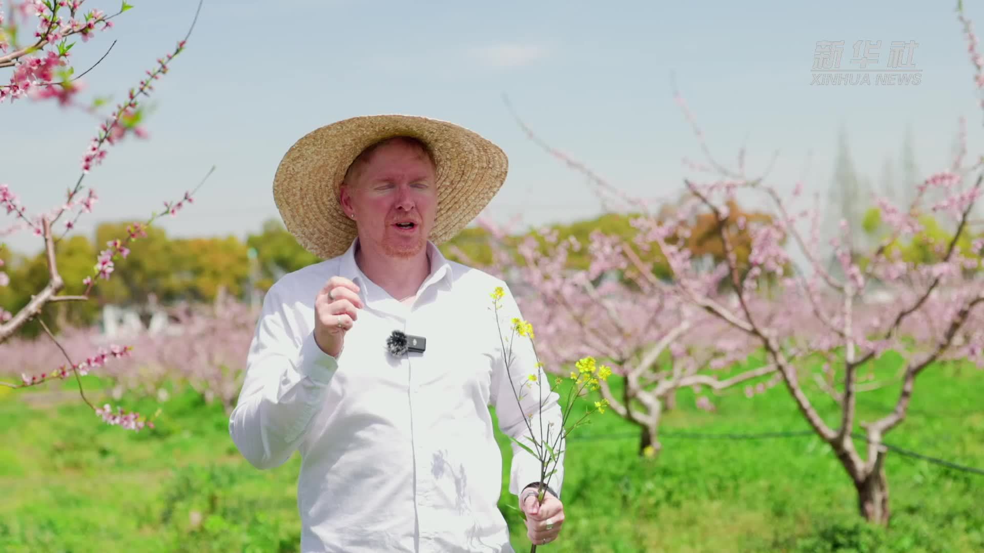 “洋朋友”探秘上海“星空桃花源”