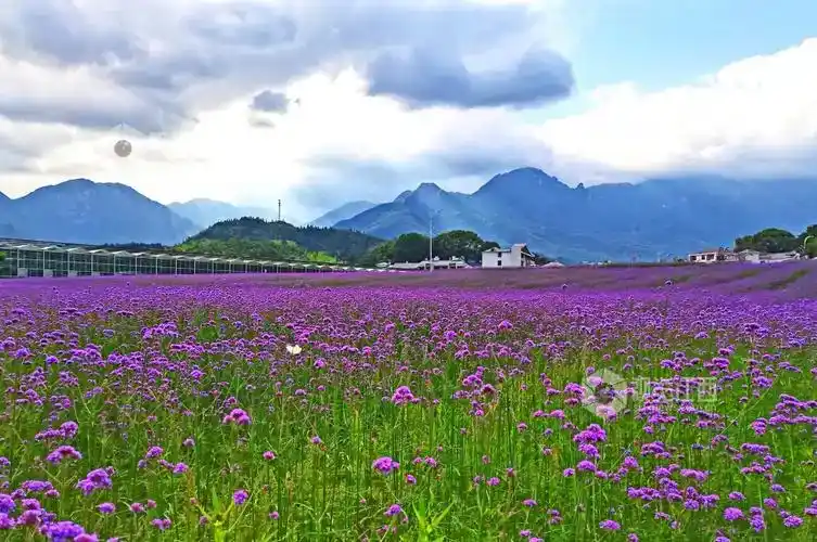 春日江西，每一片山水都隐匿着治愈的力量