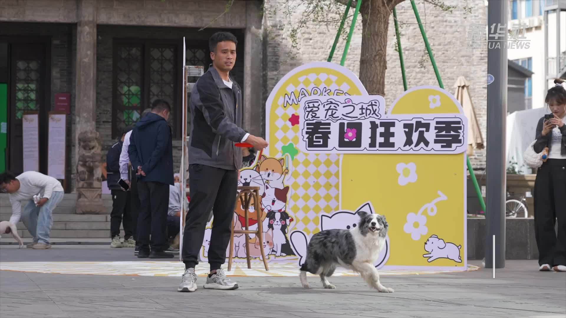 江苏常州：打造宠物友好新地标“萌宠经济”激发消费活力