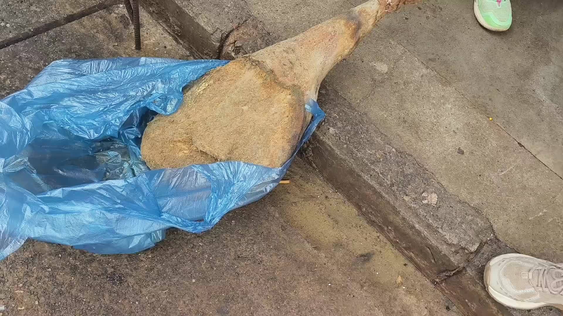 很多人梦寐以求的4年老腿，我切开看看是不是你心目中的货色