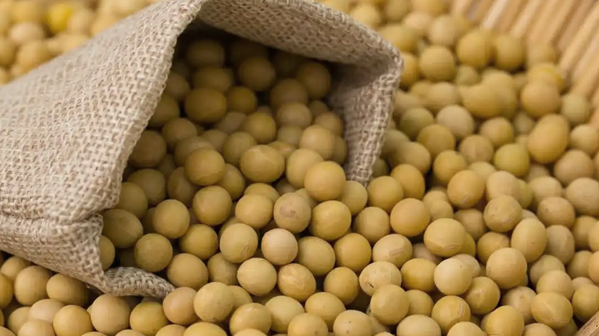 6万多吨巴西进口大豆到港，企业：美国豆成本接受不了，转从巴西和阿根廷进口