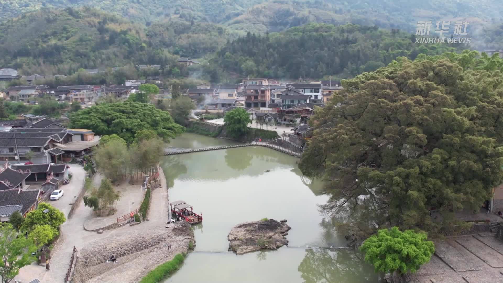 文化中国行丨福建官洋村：踏青正当时“春日经济”持续升温