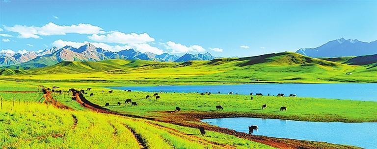 祁连山北麓张掖西大河流域水草丰美（本版图片均为资料图）