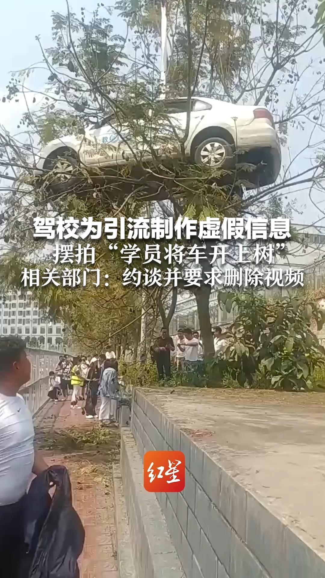 驾校为引流制作虚假信息 摆拍“学员将车开上树”相关部门：约谈并要求删除视频
