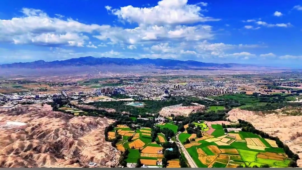 异乡人创业在金昌　祁连山下迎着“薯”光实现丰收梦