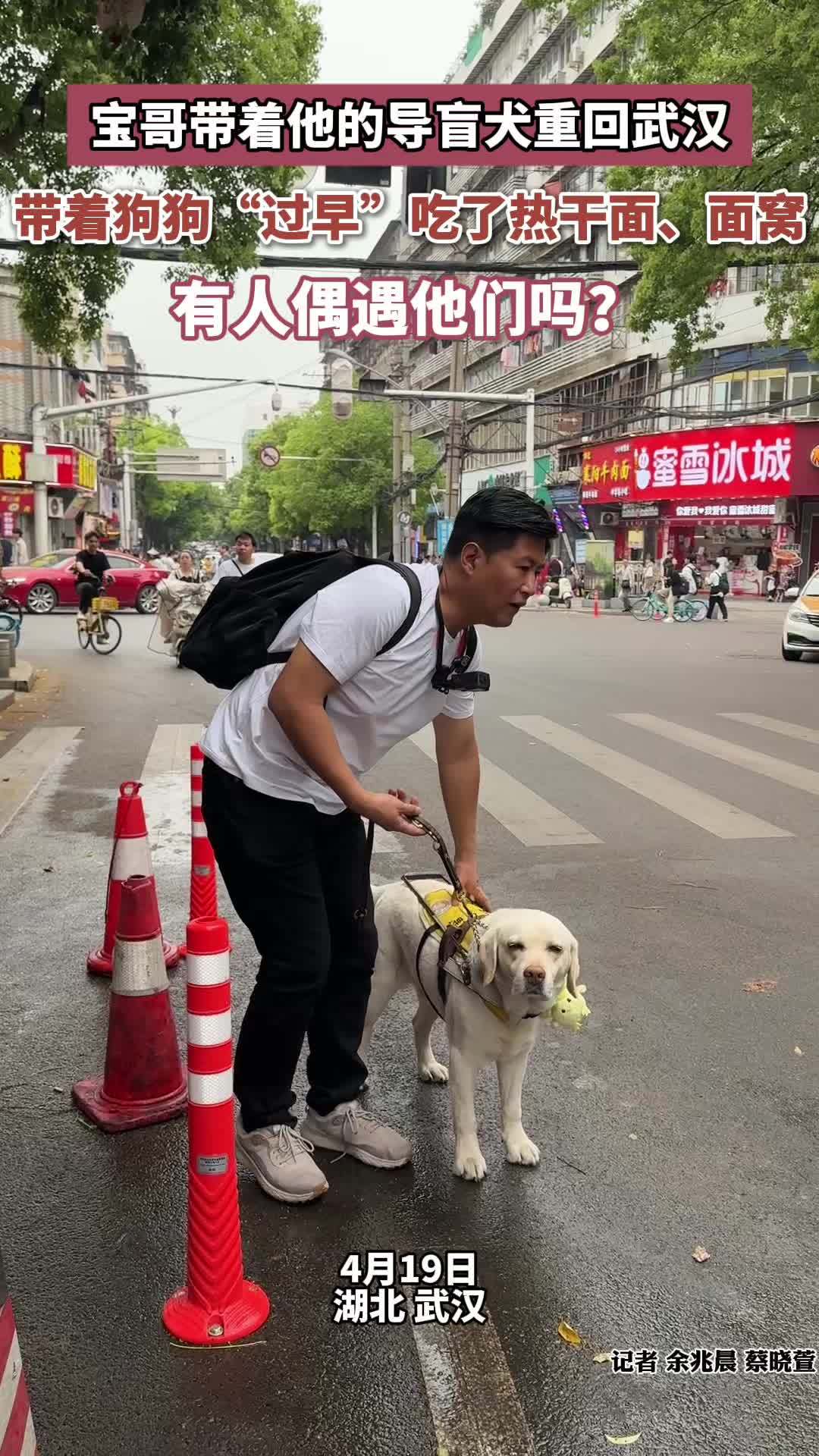 “宝哥”带着他的导盲犬重回武汉，带着狗狗“过早”吃了热干面、面窝，有人偶遇他们吗