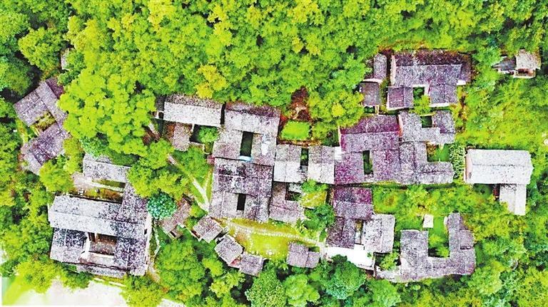 陇南武都区琵琶镇张坝村的民居是典型的陇南木架子房原型,四合院建筑结构,多依山而建。从上空俯瞰,张坝村的房屋,形成了一个“寿”字。