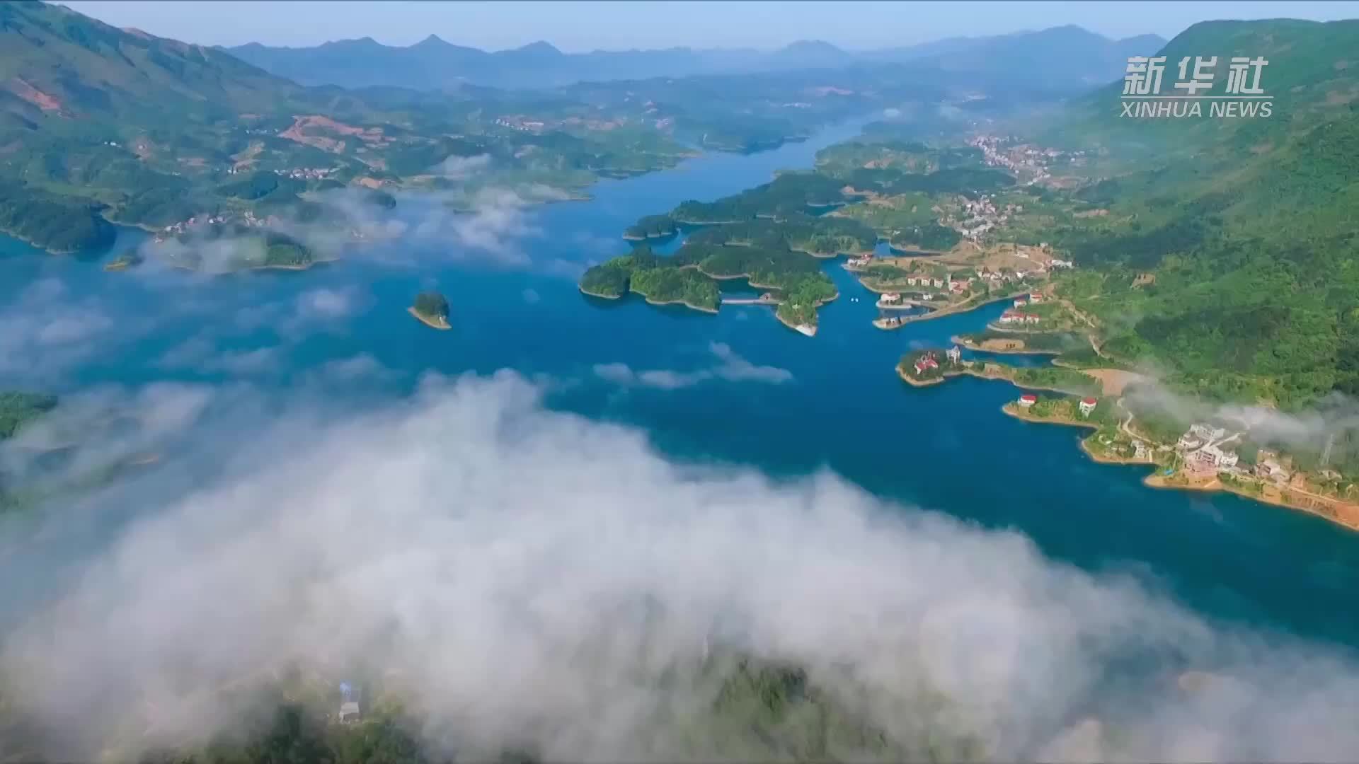 湖北阳新：仙岛湖畔春光好 农旅融合促振兴