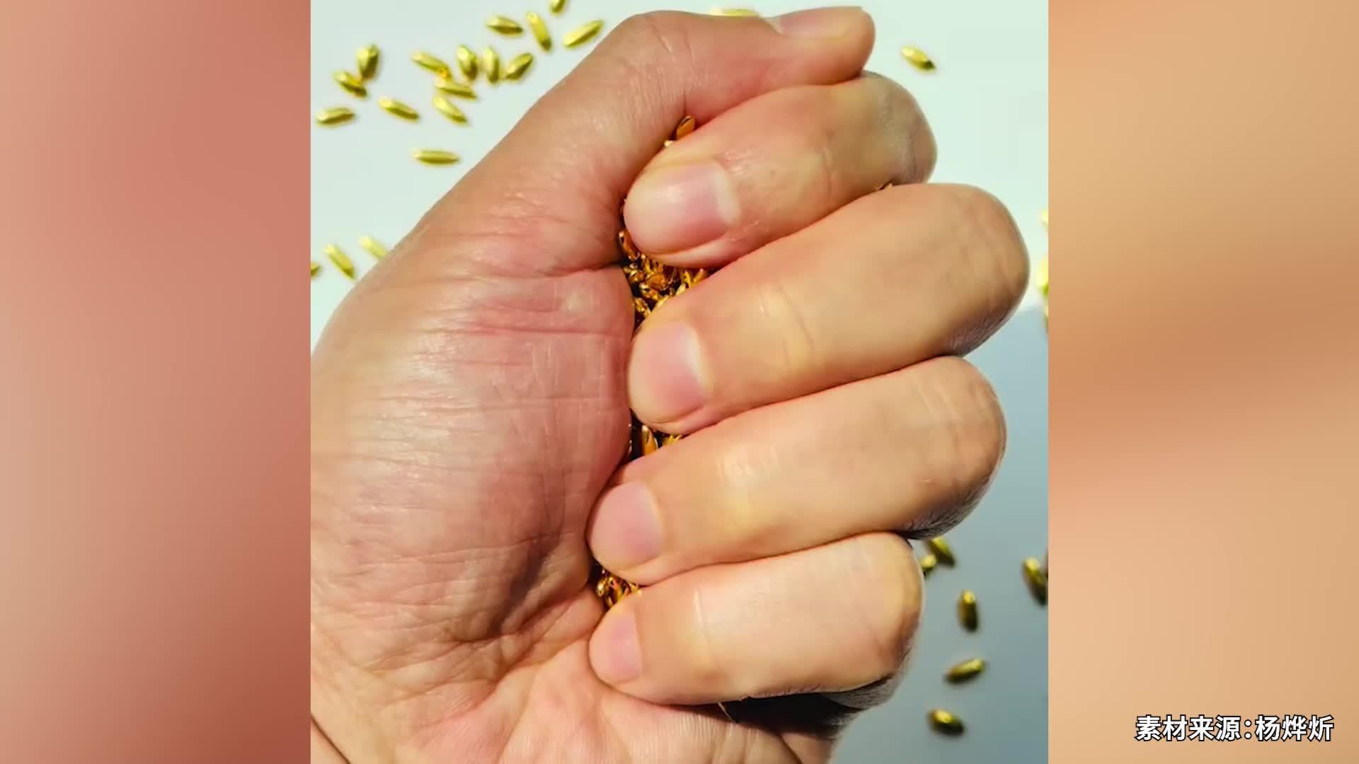 5吨大米中淘500克金米的展览被质疑浪费粮食，艺术家：理解，会把大米制成艺术品