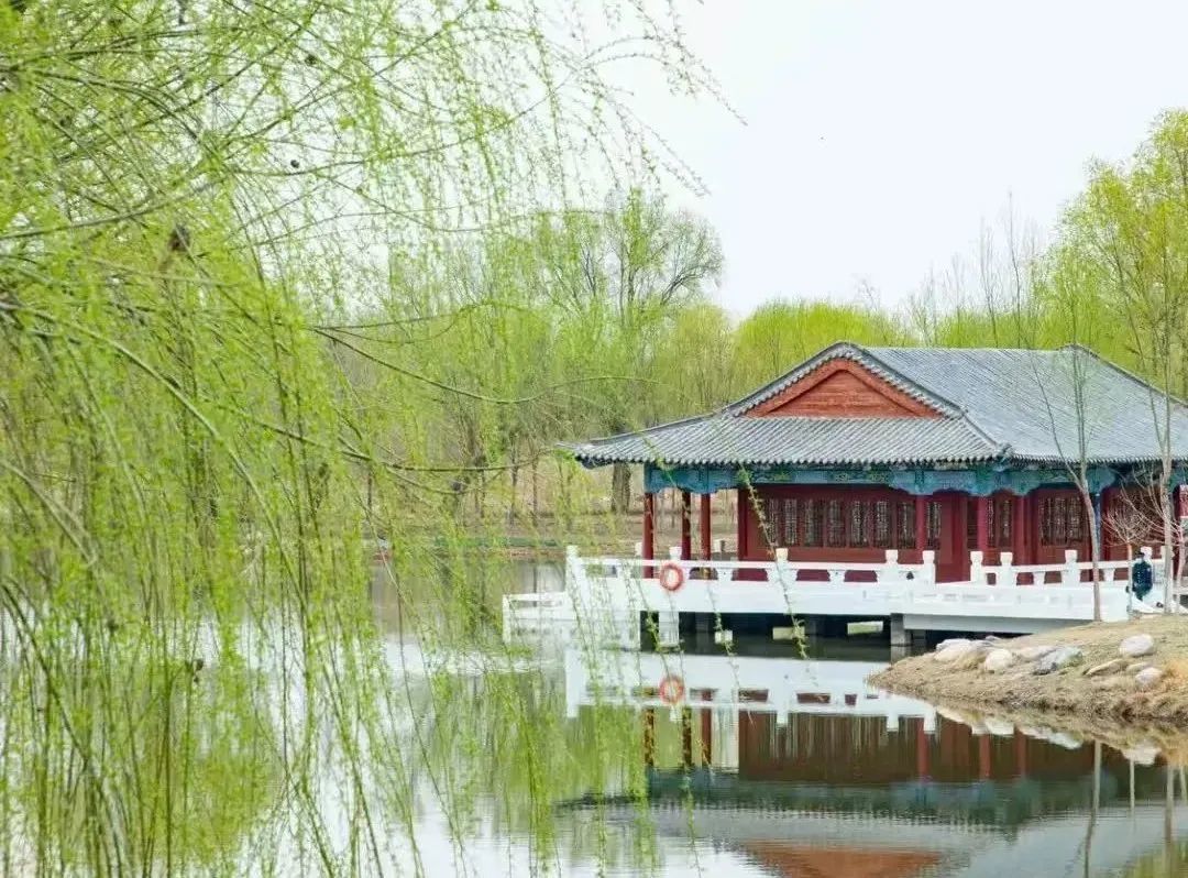 图︱武威日报