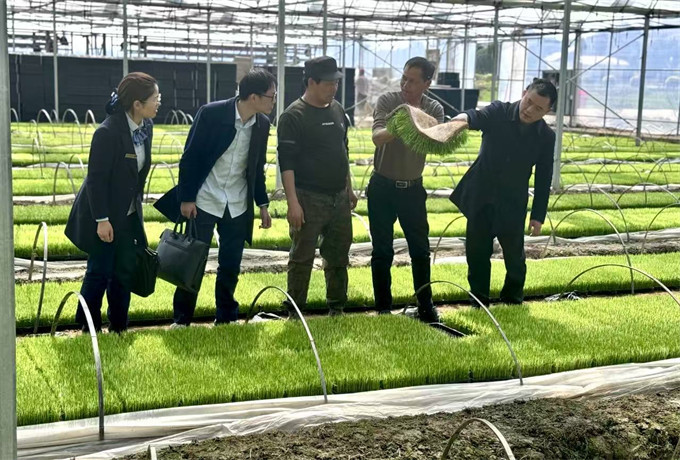 常德农商银行工作人员进行春耕走访。受访单位供图