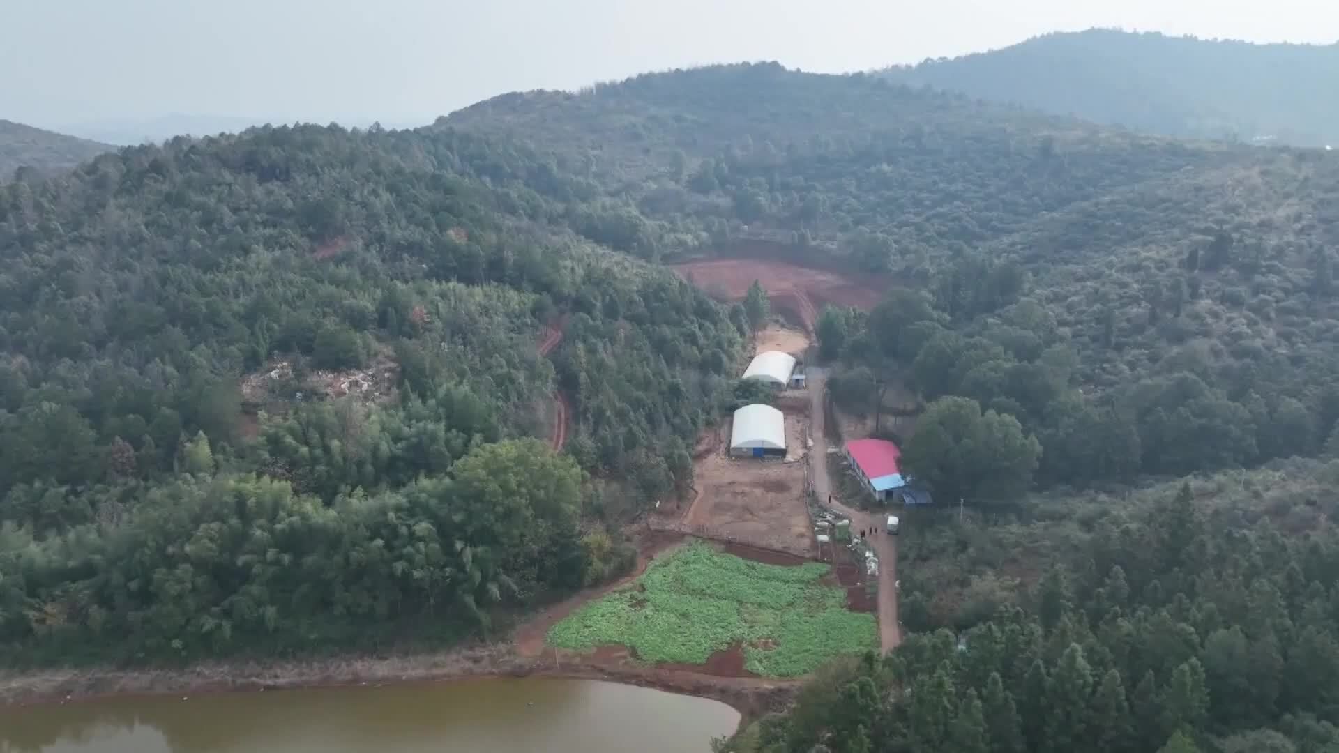 千城百县看中国｜湖南祁阳：智慧生态养殖“啄”出致富路