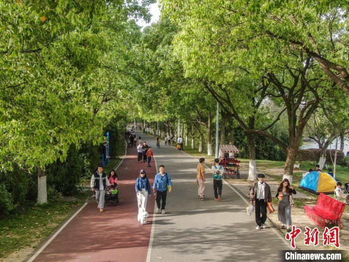 4月13日，江西南昌高新区艾溪湖湿地公园，市民在林荫道中散步。当日南昌天气晴好，艾溪湖湿地公园绿意盎然，不少市民来到公园游玩，乐享周末悠闲时光。（无人机照片）中新社记者 刘力鑫 摄
