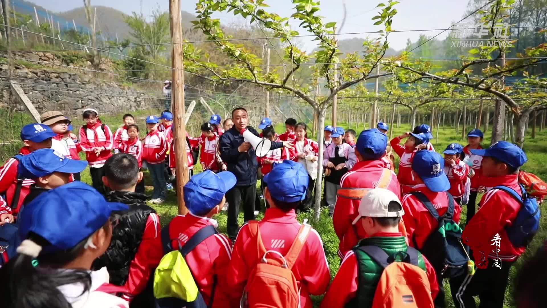 千城百县看中国｜湖北巴东：课外实践促成长