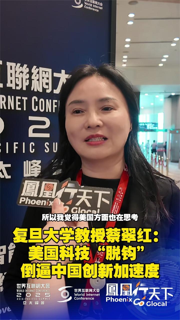 复旦大学教授蔡翠红：美国科技“脱钩”倒逼中国创新加速度