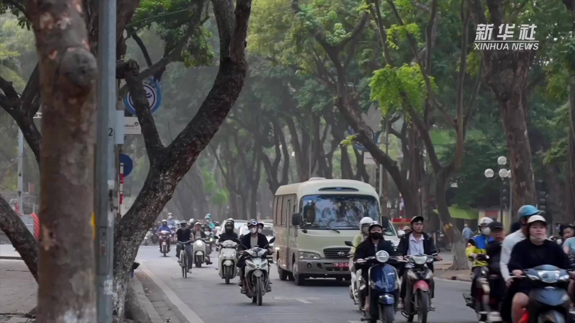 从昆明到河内　在花香中感受中越经贸活力