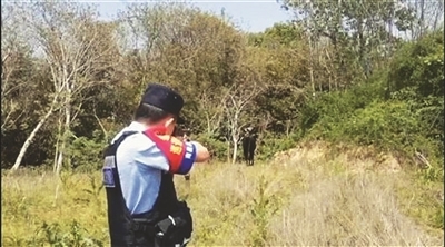 成年公牛发狂失控 南昌县民警一枪击毙！牛主人：真准