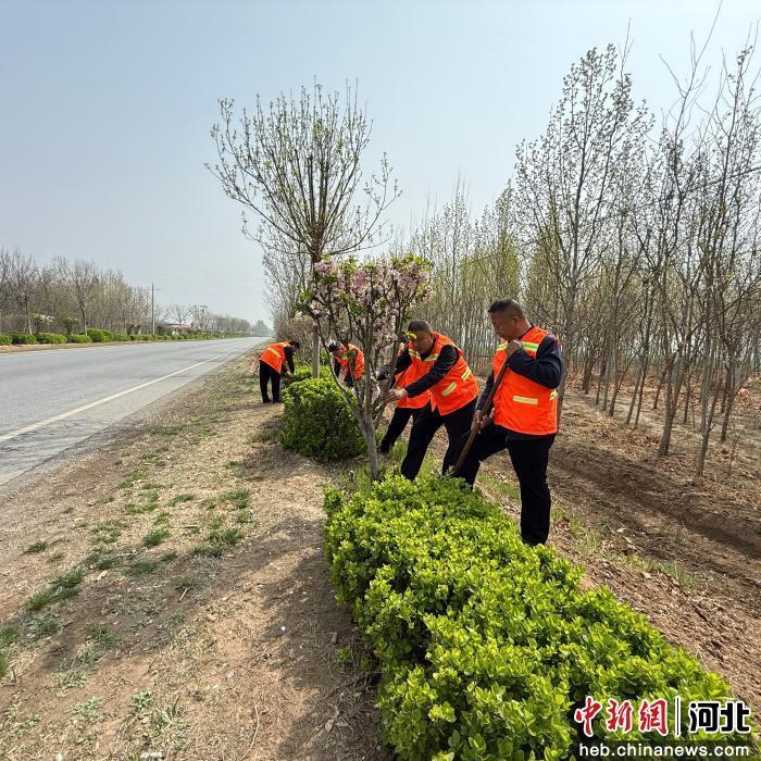 图为故城县一路段绿化施工现场。 故城县交通运输局 供图