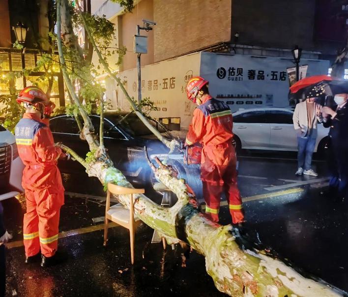 消防隊(duì)員切割倒樹 通訊員供圖