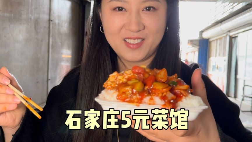 石家庄菜市场里的小餐馆，5元一道菜，单锅现炒尝尝味道咋样