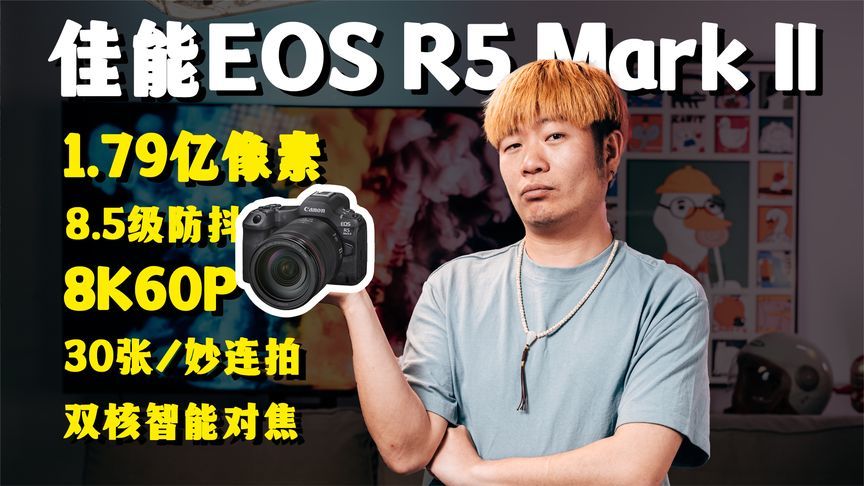 拳打康子 脚踢大法 佳能掀桌了