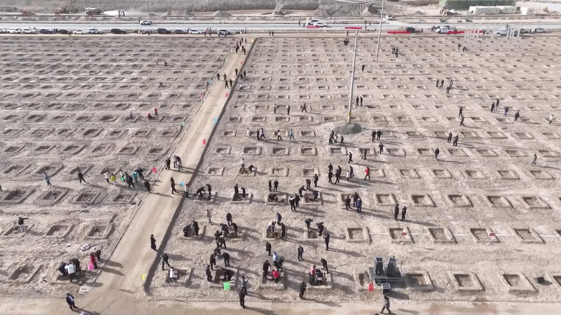 甘肃瓜州：“世界风库”不负春光植绿忙