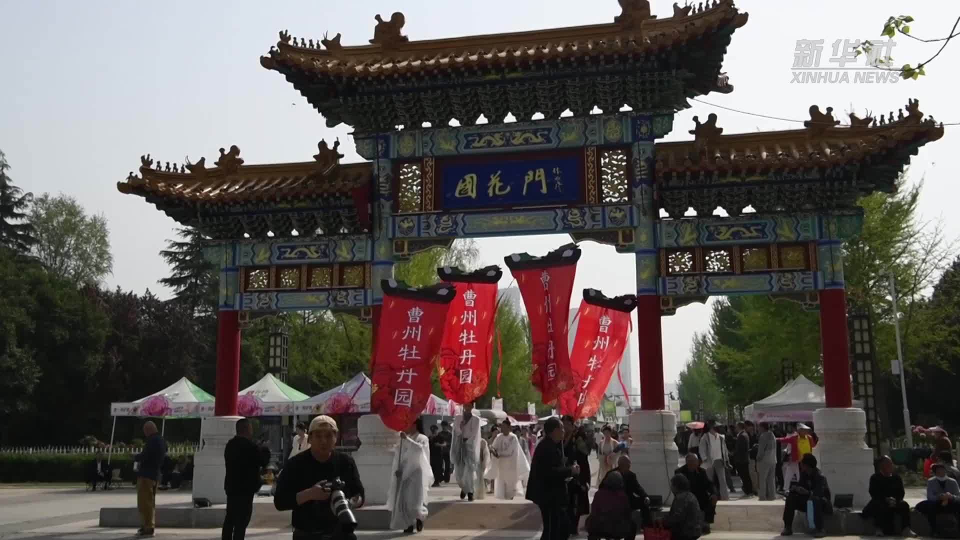 山东菏泽：一朵花撬动一条产业链 牡丹绽放“花样经济”活力