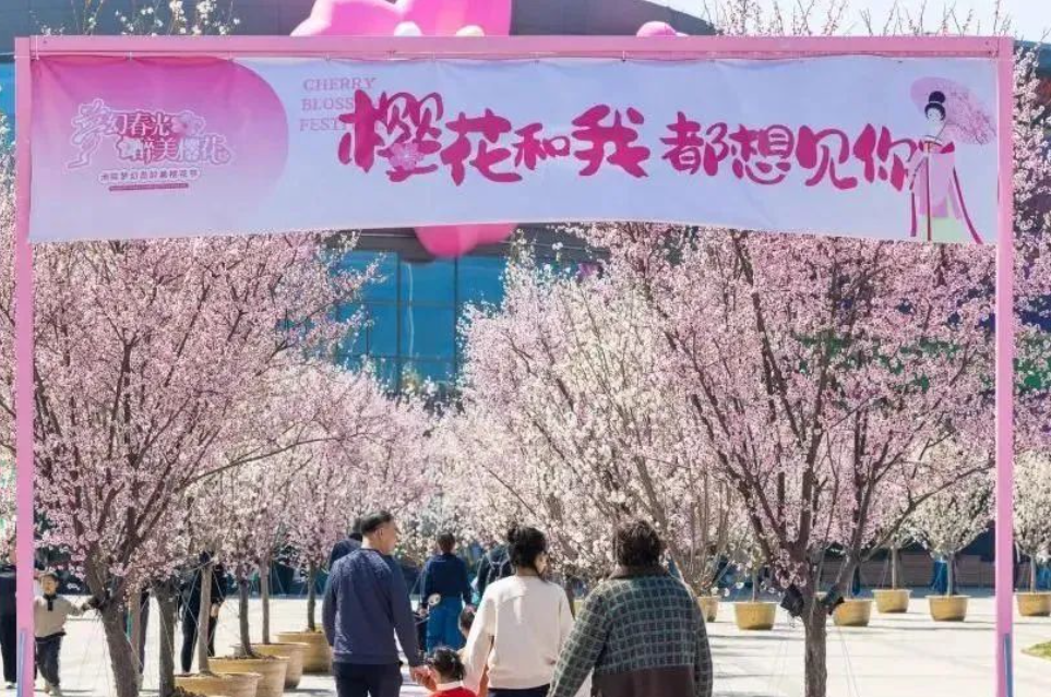“春日经济”别样红，看江苏如何激发文旅消费“新动能”