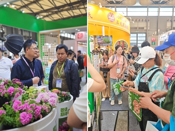 千百季亮相第27届中国国际花卉园艺展览会免稀释技术引领家庭园艺新潮流