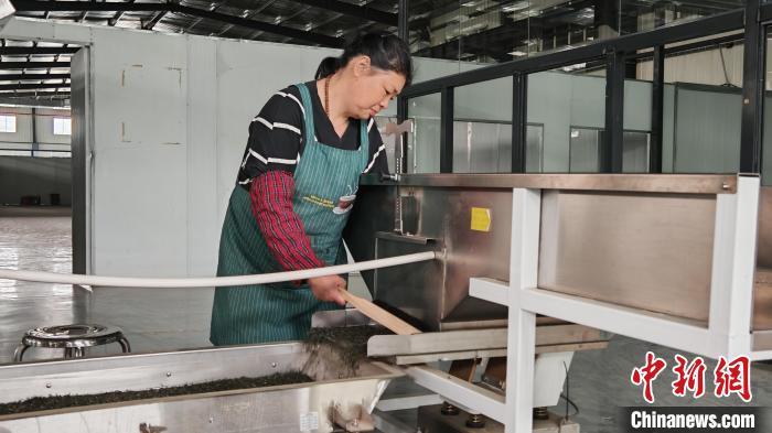 图为庐山市某茶企生产车间，工人正在工作。巫发阳摄