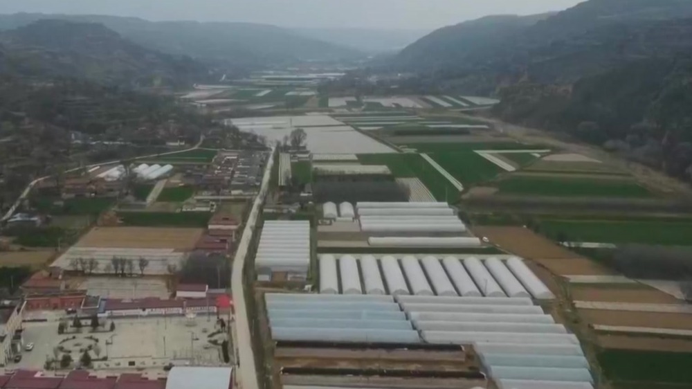 立足特色兴业强村　助力乡村全面振兴